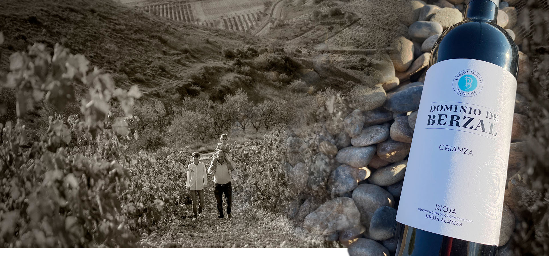 Dominio de Berzal Bodega