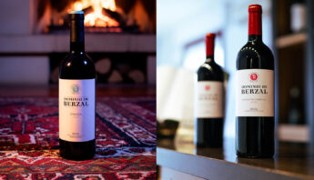 Vino de maceración Carbónica y crianza. Dominio de Berzal