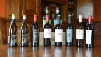 Gama completa vinos Dominio de Berzal